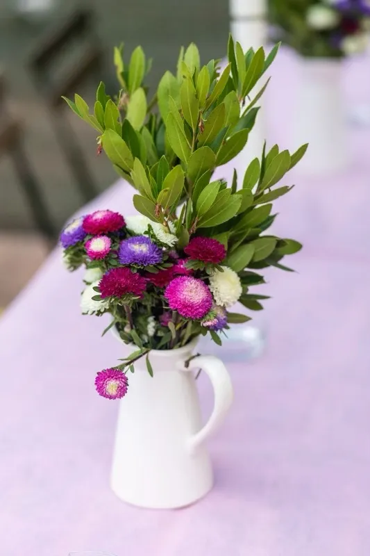 Горски животни, снимка 24